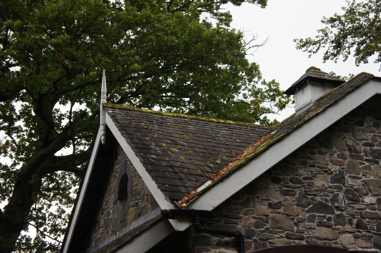 Moss on cottage roof in Lake District