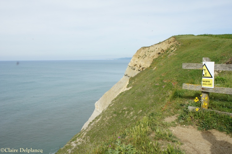Cliff in West Bay