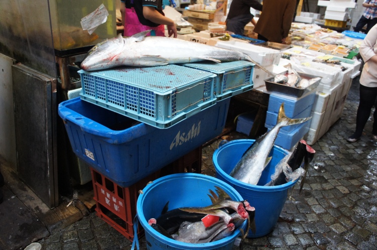 Tsukiji fish market Tokyo