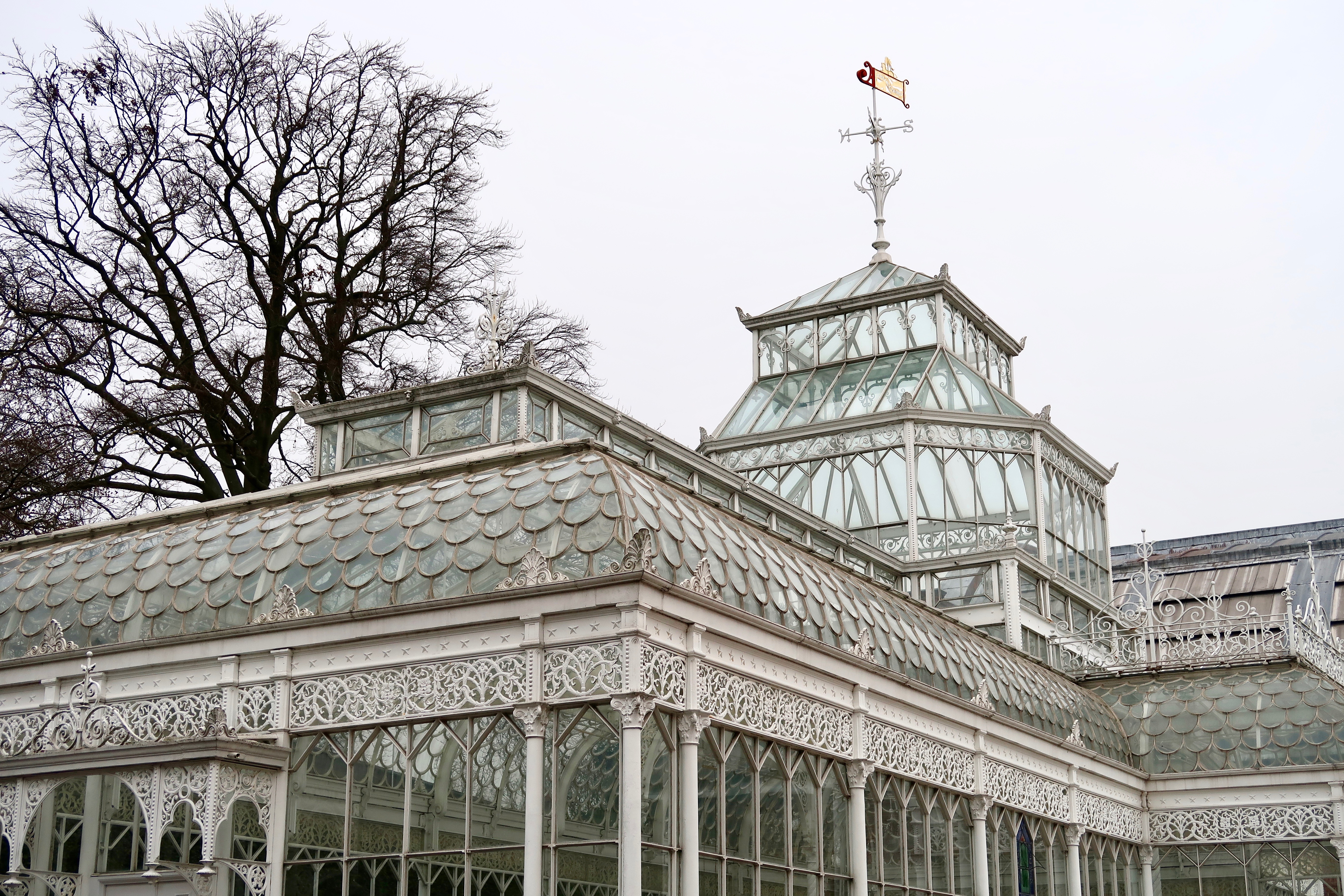 The Horniman Museum conservatory